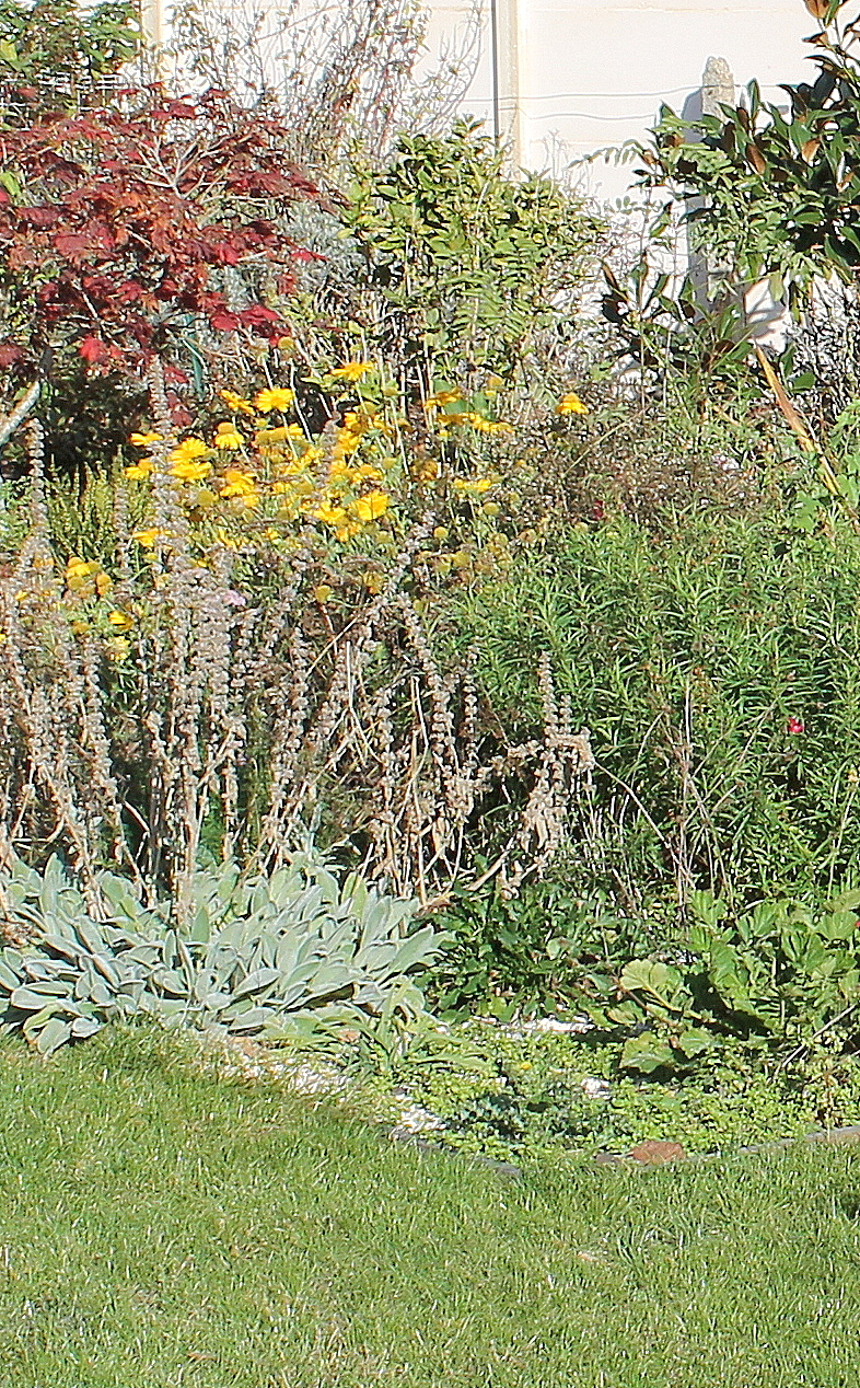 Formation certifiante, diplômante pour le titre professionnel d'ouvrier du paysage - Devenir jardinier - Devenir paysagiste - Devenir ouvrier du paysage Formation diplômante diplomante certifiante titre professionnel ouvrier du paysage devenir jardinier paysagiste cestas gironde aquitaine centre loire atlantique bretagne vendée